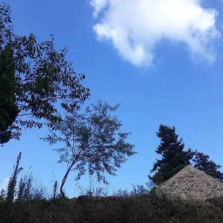 Quinta De águia - Non-smoking Property 3* São Lourenço do Douro