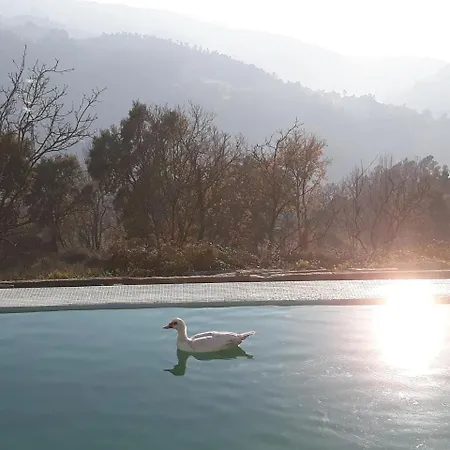 Casa de hóspedes Quinta De águia - Non-smoking Property 3*