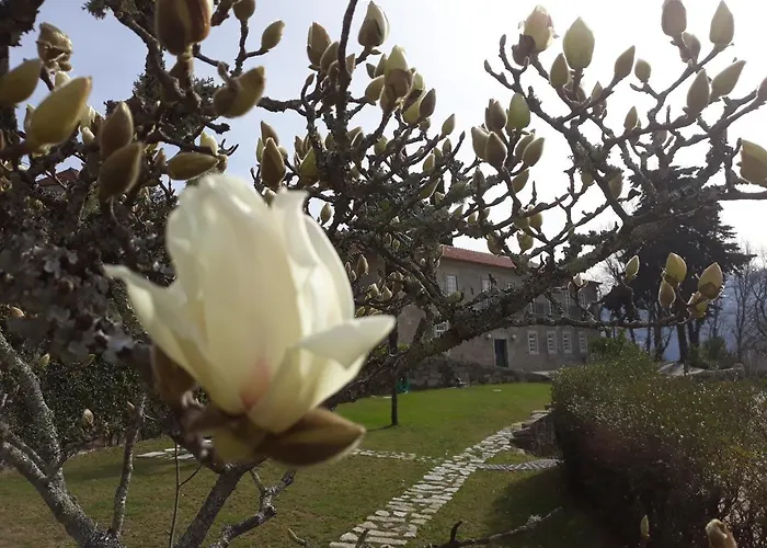 Pensión Quinta De águia - Non-smoking Property São Lourenço do Douro