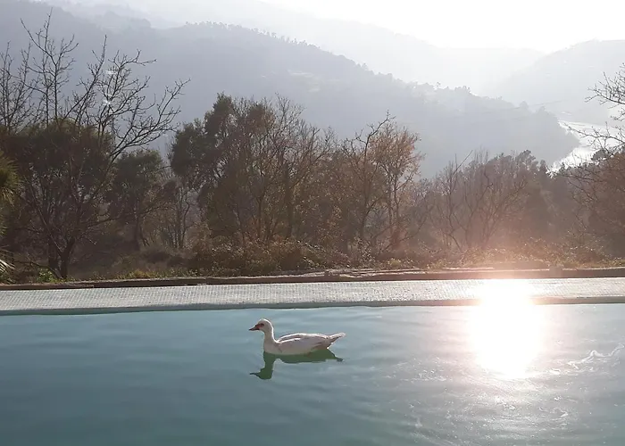 Casa de hóspedes Quinta De águia - Non-smoking Property 3*